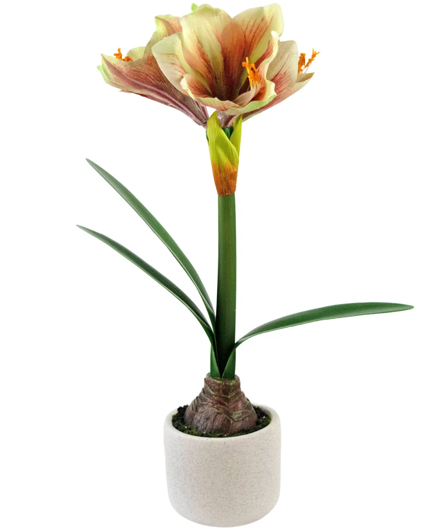 Miniatuur 1