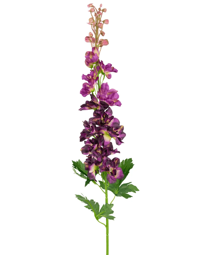 Miniatuur 1