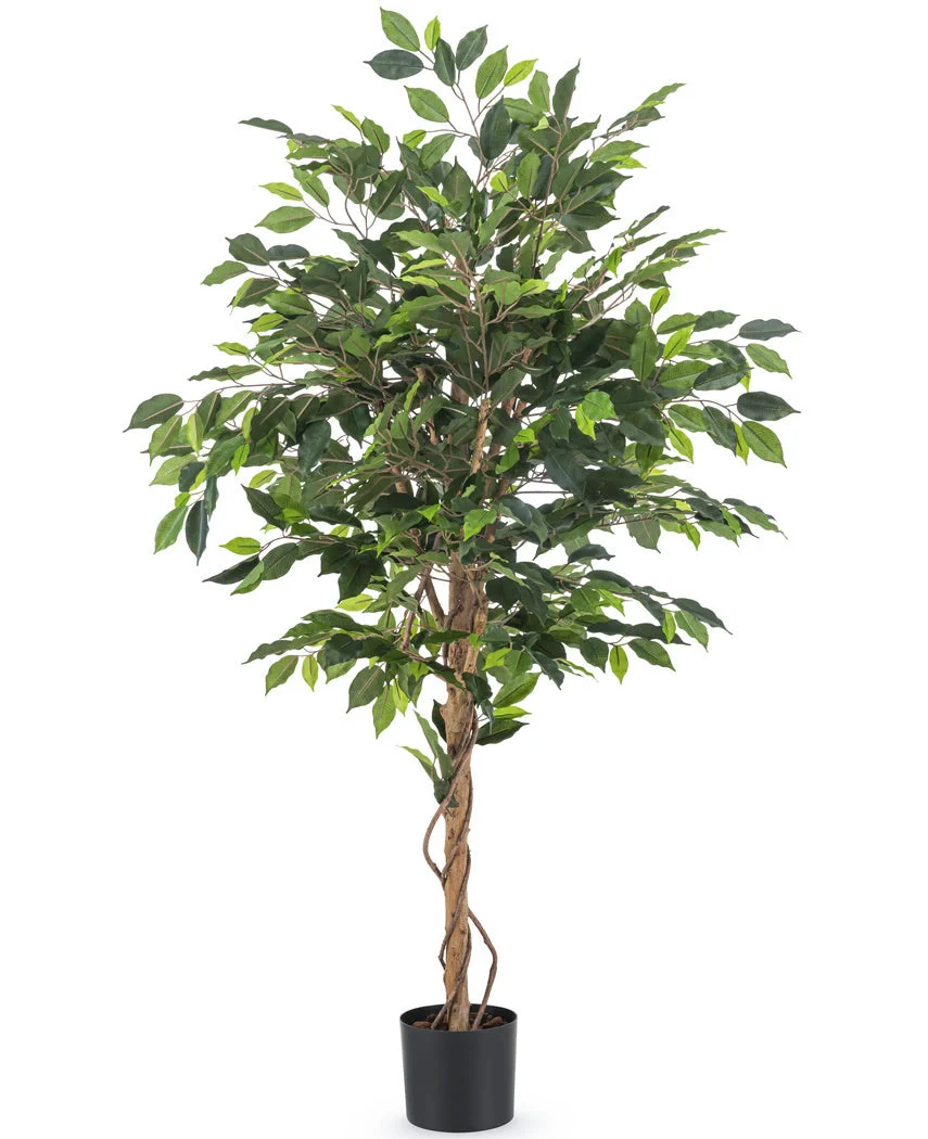 Miniatuur 1
