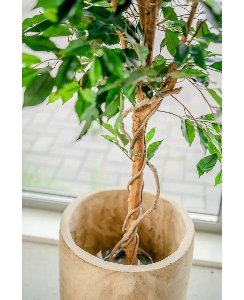 Miniatuur 2