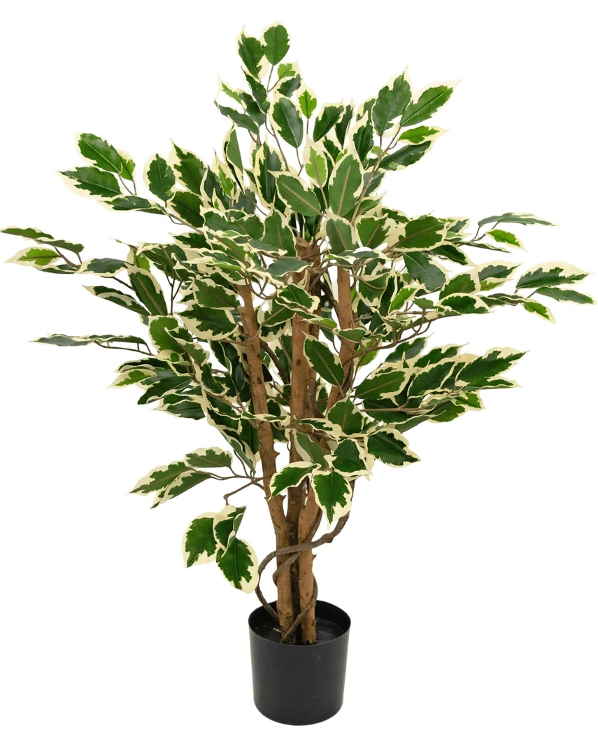 Miniatuur 1