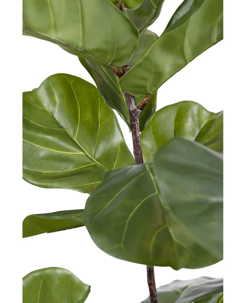 Productafbeelding 4