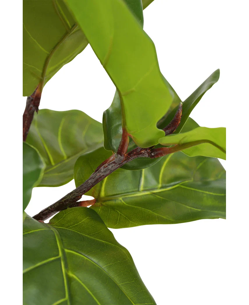 Miniatuur 2
