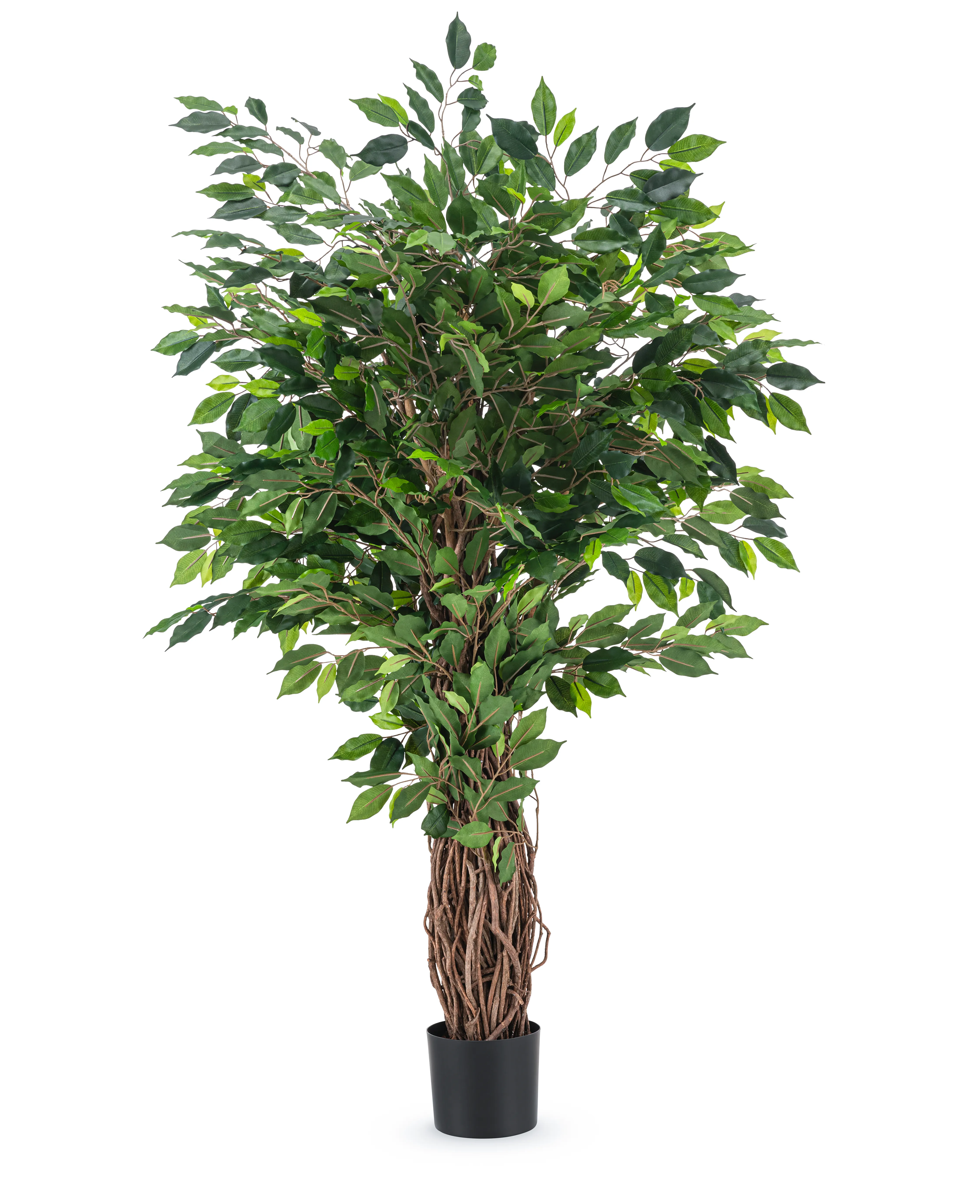 Miniatuur 1