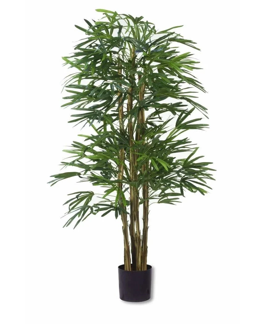 Miniatuur 1