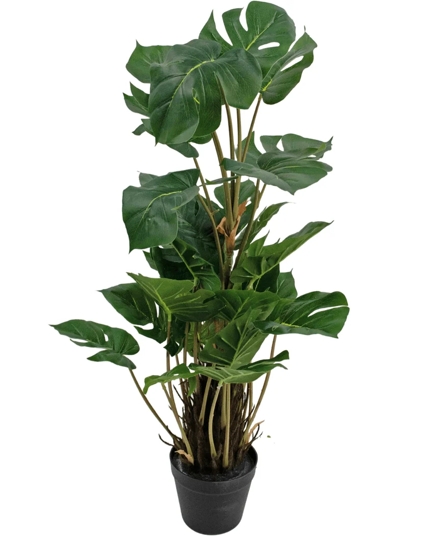 Miniatuur 1