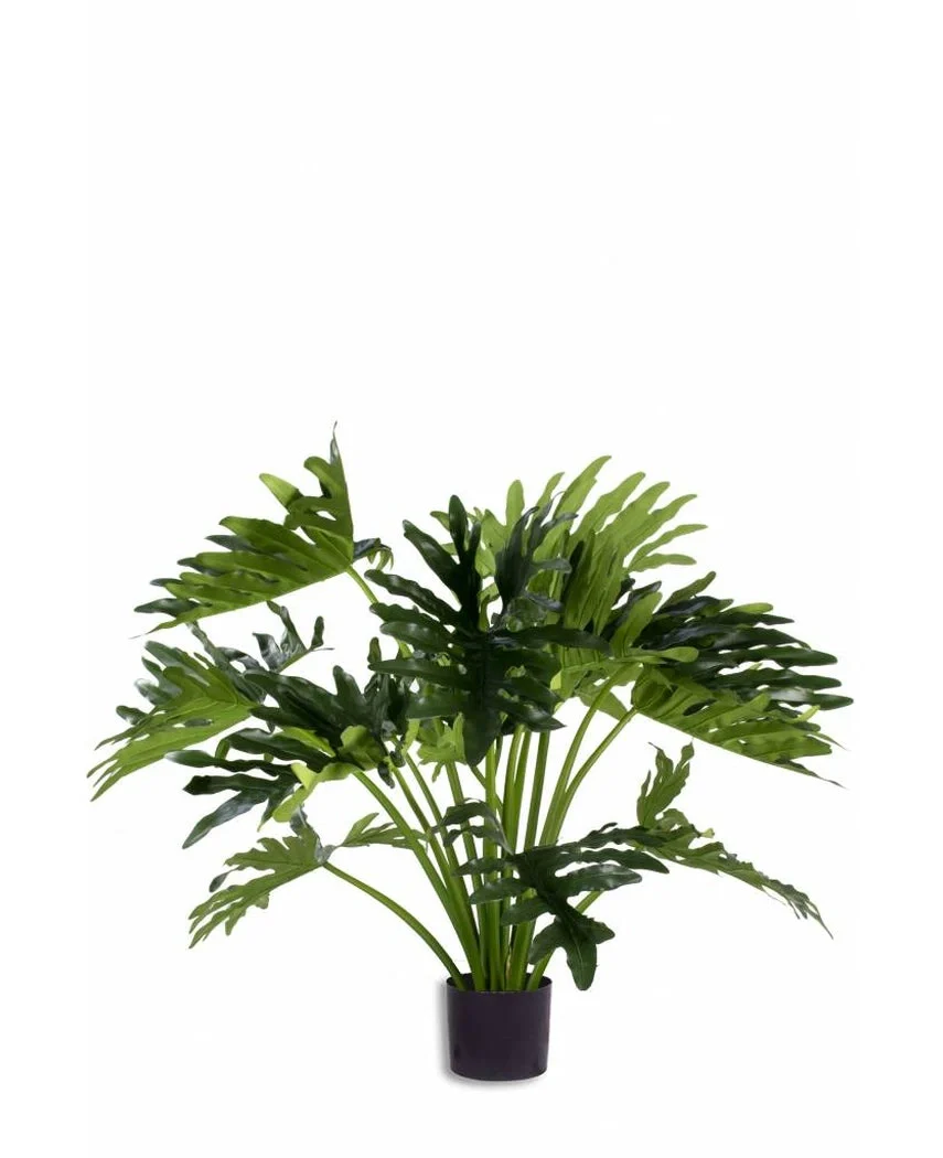 Miniatuur 1